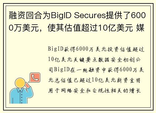 融资回合为BigID Secures提供了6000万美元，使其估值超过10亿美元 媒体