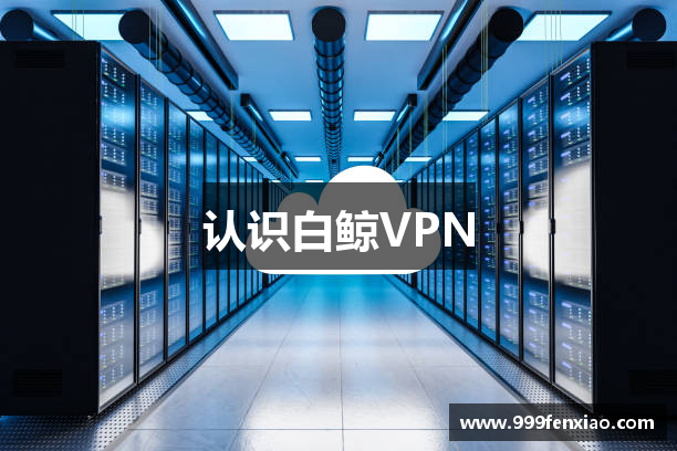 认识白鲸VPN