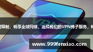 突破地域限制，畅享全球网络，选择我们的VPN梯子服务，畅游无忧！